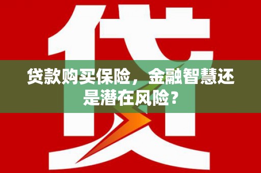 六安贷款购买保险，金融智慧还是潜在风险？