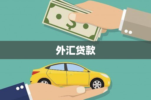 六安外汇贷款