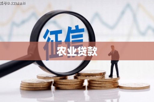 六安农业贷款