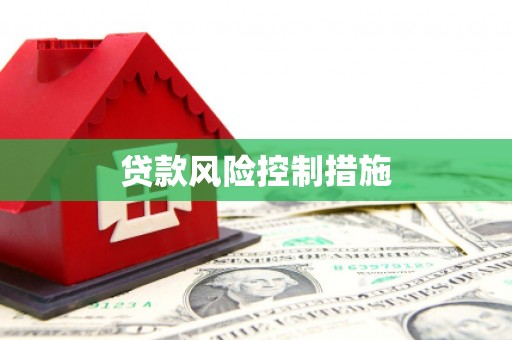六安贷款风险控制措施