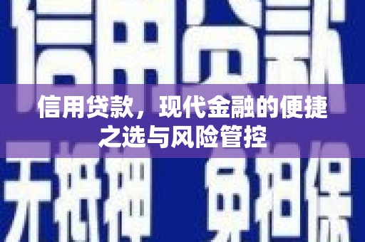 六安信用贷款，现代金融的便捷之选与风险管控