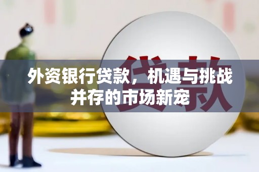 六安外资银行贷款，机遇与挑战并存的市场新宠