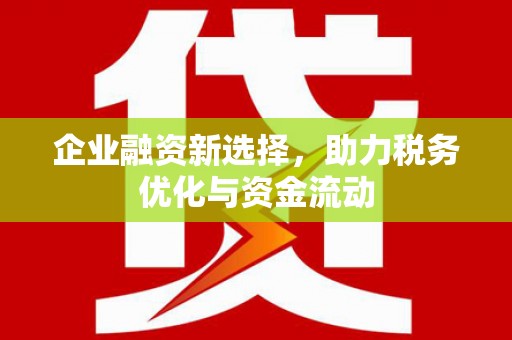 六安企业融资新选择，助力税务优化与资金流动