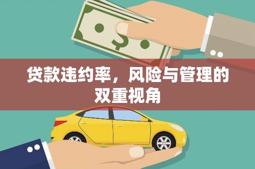 六安贷款违约率，风险与管理的双重视角