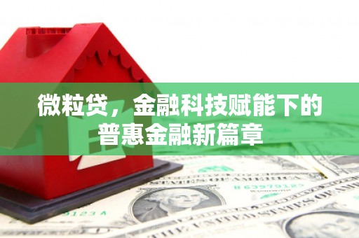 六安微粒贷，金融科技赋能下的普惠金融新篇章