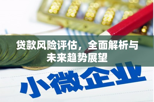 六安贷款风险评估，全面解析与未来趋势展望