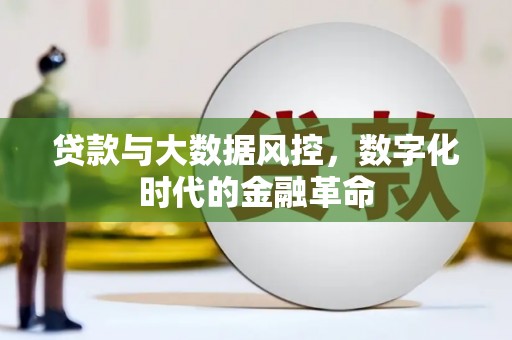 六安贷款与大数据风控，数字化时代的金融革命