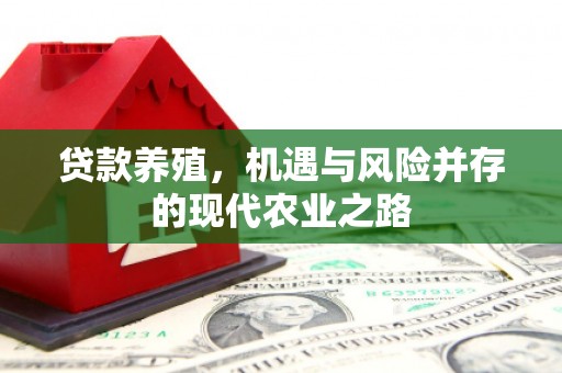 六安贷款养殖，机遇与风险并存的现代农业之路