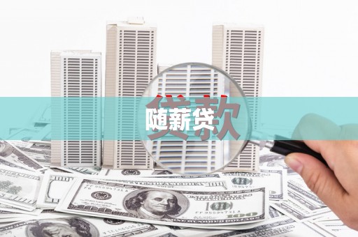 六安随薪贷
