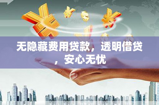 六安无隐藏费用贷款，透明借贷，安心无忧