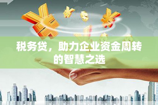 六安税务贷，助力企业资金周转的智慧之选