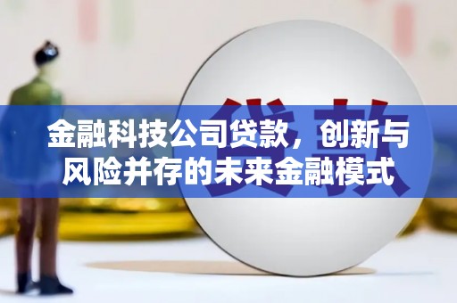 六安金融科技公司贷款，创新与风险并存的未来金融模式