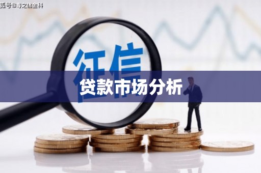 六安贷款市场分析