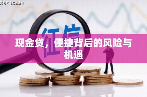 六安现金贷，便捷背后的风险与机遇