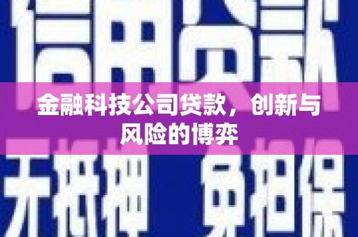 六安金融科技公司贷款，创新与风险的博弈