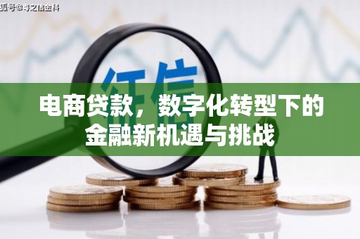 六安电商贷款，数字化转型下的金融新机遇与挑战