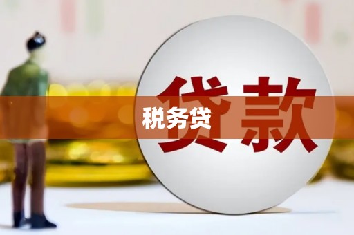 六安税务贷