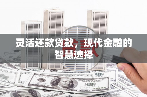 六安灵活还款贷款，现代金融的智慧选择