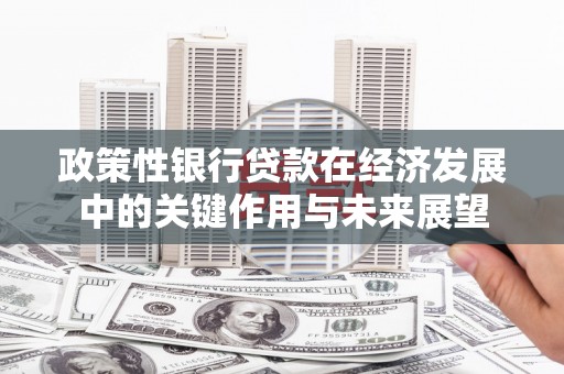 六安政策性银行贷款在经济发展中的关键作用与未来展望