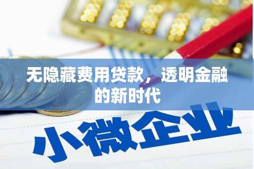 六安无隐藏费用贷款，透明金融的新时代
