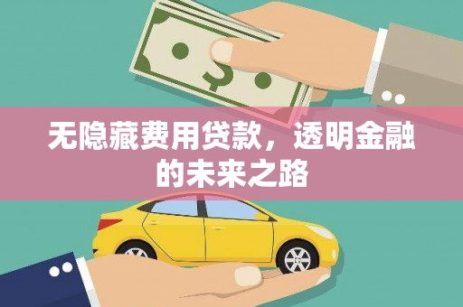 六安无隐藏费用贷款，透明金融的未来之路