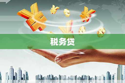六安税务贷