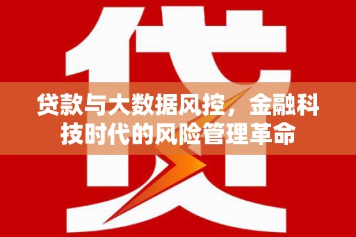 六安贷款与大数据风控，金融科技时代的风险管理革命