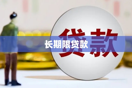 六安长期限贷款