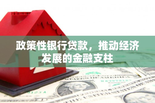 六安政策性银行贷款，推动经济发展的金融支柱