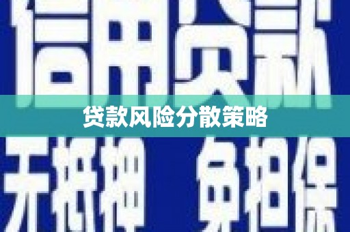六安贷款风险分散策略