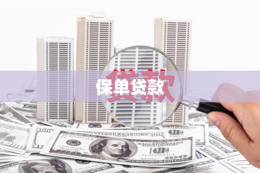 六安保单贷款