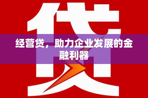 六安经营贷，助力企业发展的金融利器