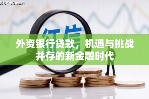 六安外资银行贷款，机遇与挑战并存的新金融时代