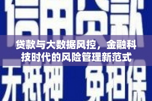 六安贷款与大数据风控，金融科技时代的风险管理新范式