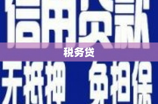 六安税务贷