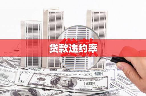 六安贷款违约率