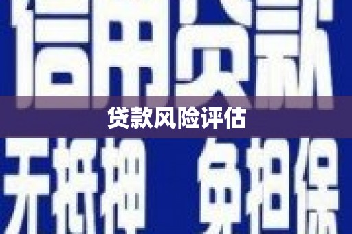 六安贷款风险评估