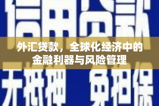 六安外汇贷款，全球化经济中的金融利器与风险管理