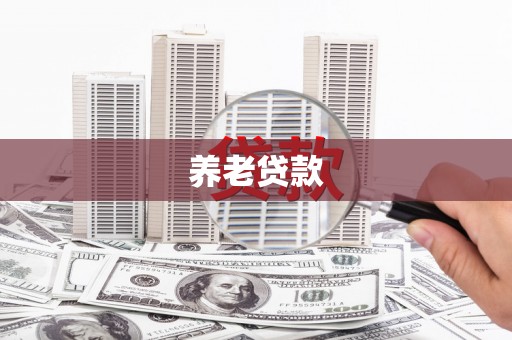 六安养老贷款