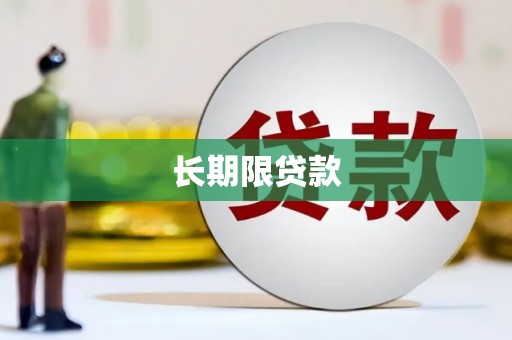 六安长期限贷款