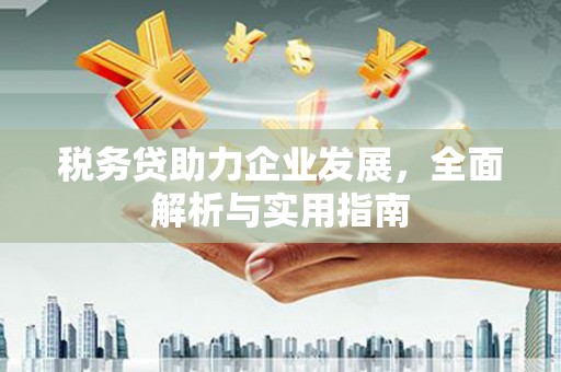 六安税务贷助力企业发展，全面解析与实用指南