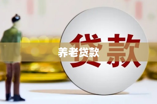 六安养老贷款