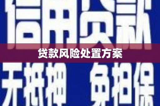 六安贷款风险处置方案