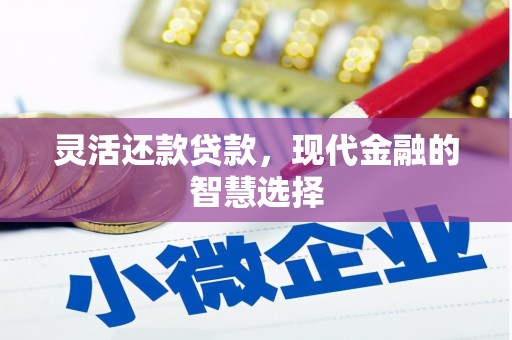 六安灵活还款贷款，现代金融的智慧选择