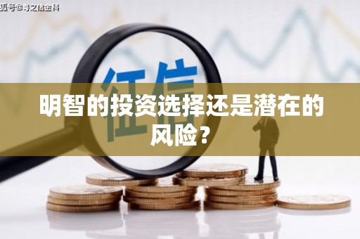 六安明智的投资选择还是潜在的风险？