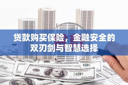 六安贷款购买保险，金融安全的双刃剑与智慧选择