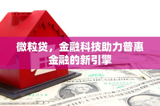 六安微粒贷，金融科技助力普惠金融的新引擎