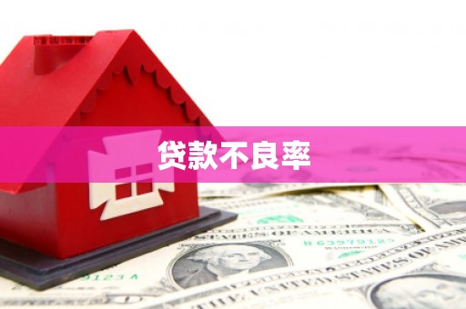 六安贷款不良率