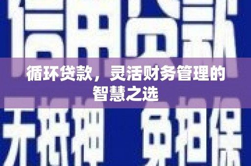 六安循环贷款，灵活财务管理的智慧之选