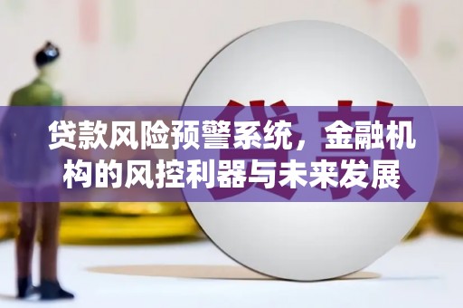 六安贷款风险预警系统，金融机构的风控利器与未来发展